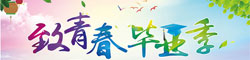 广告290X60